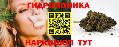 прущие крисы Кунгур