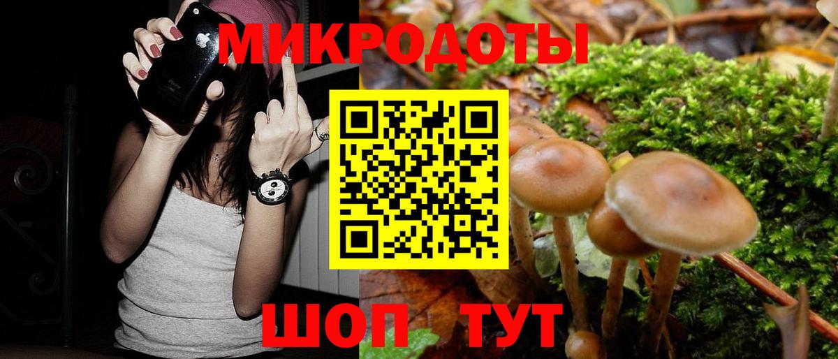 Псилоцибиновые грибы мухоморы  Вход с VPN  цена наркотик  Зерноград  Псилоцибиновые грибы Psilocybe 