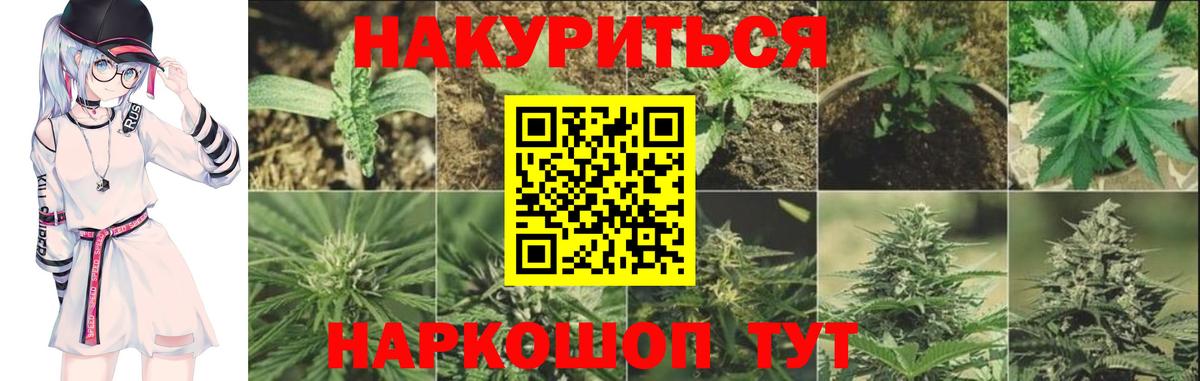 МАРИХУАНА Ganja Зерноград